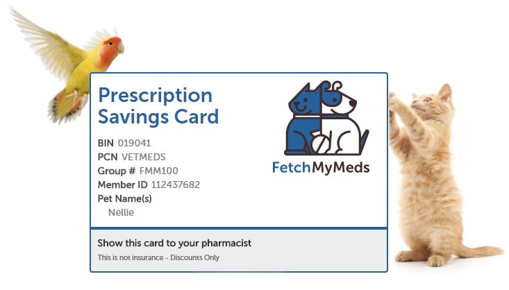 discount pet meds
